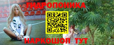 прущие грибы Ипатово