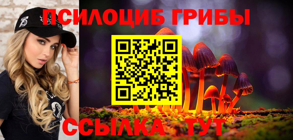 Галлюциногенные грибы Cubensis Лабинск
