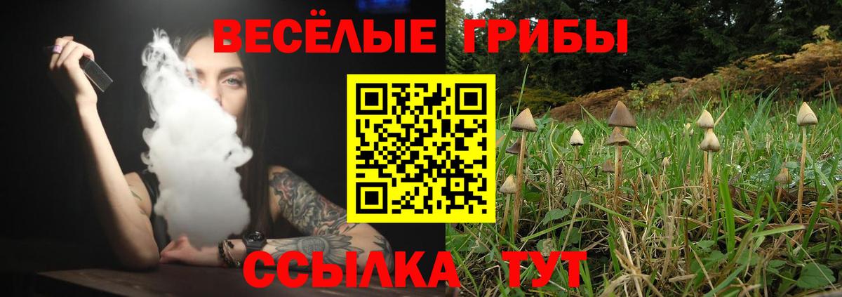 Галлюциногенные грибы Cubensis  Вход с VPN  как найти наркотики  Лабинск 