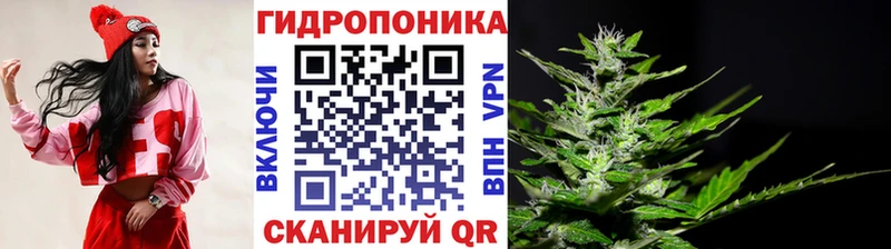 MEGA онион  где купить наркоту  Лабинск  Шишки марихуана индика 